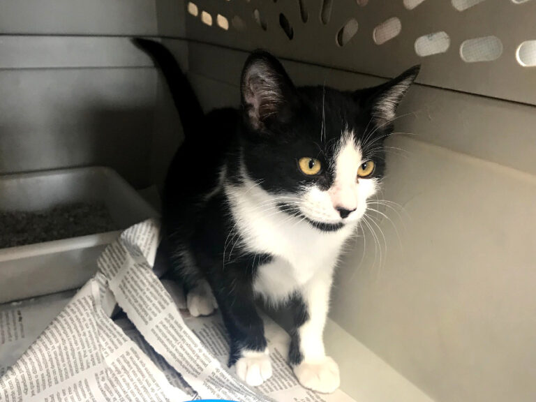 multimedia-foto54033-480-1