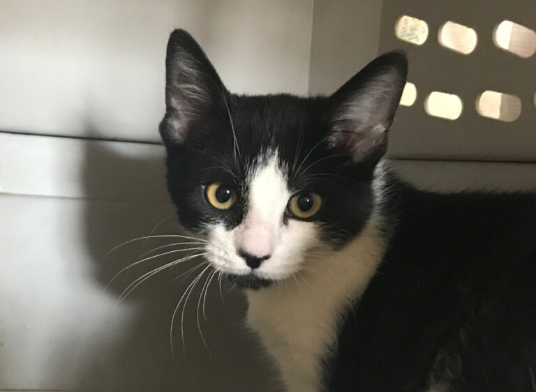 multimedia-foto54034-481-1