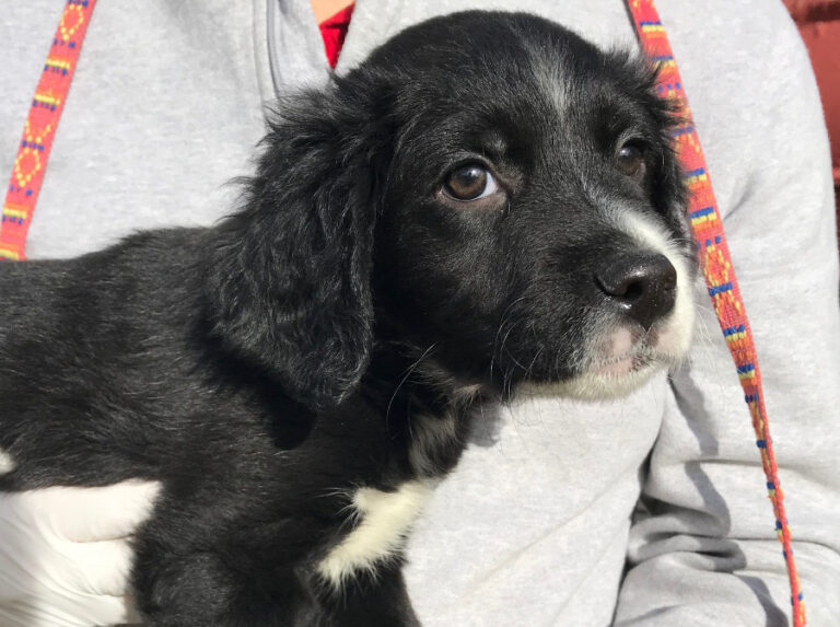 multimedia-foto54045-127-1