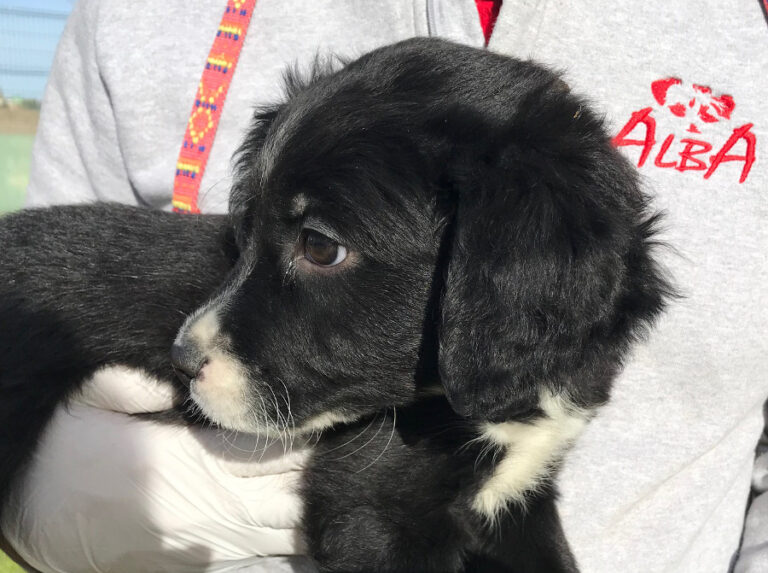 multimedia-foto54046-128-1