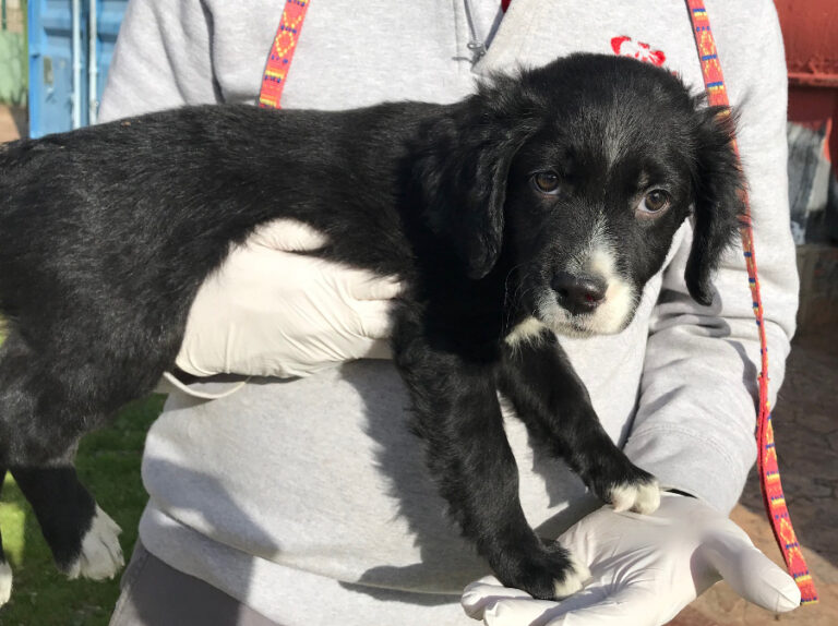 multimedia-foto54047-128-1