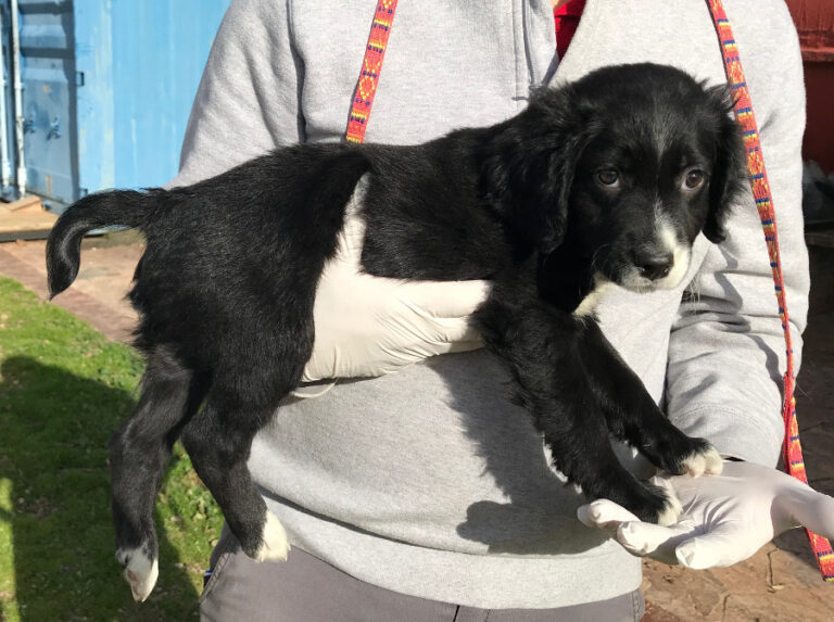 multimedia-foto54048-128-1