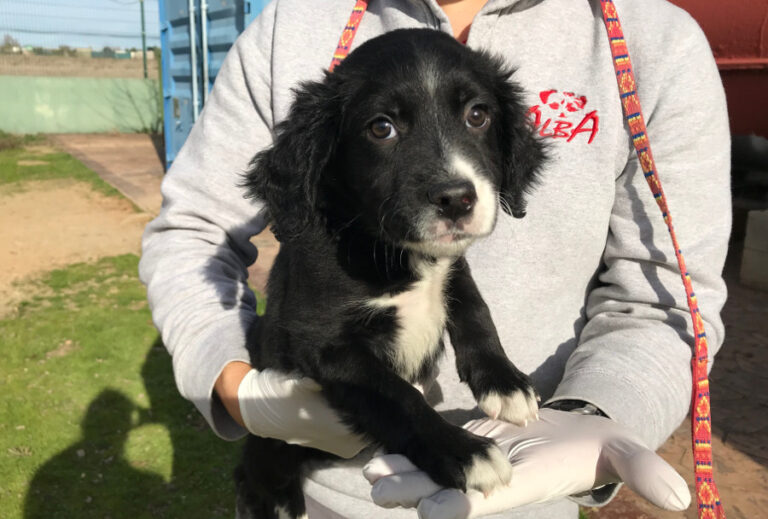 multimedia-foto54049-128-1