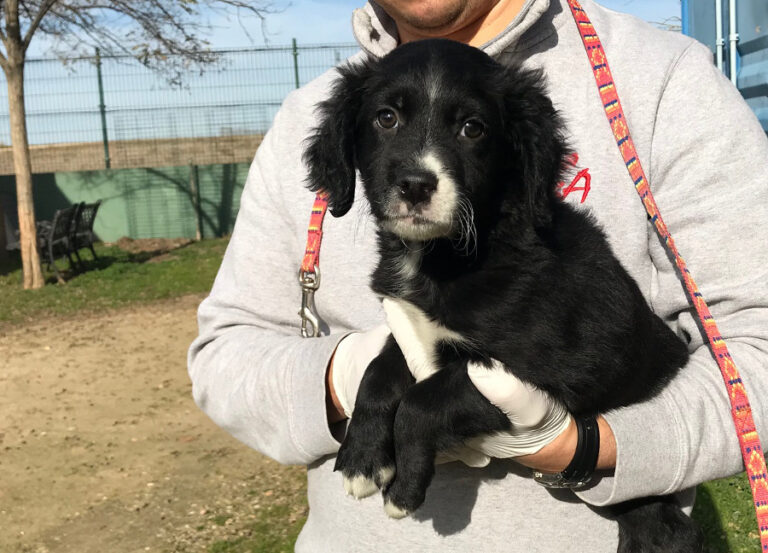 multimedia-foto54050-128-1