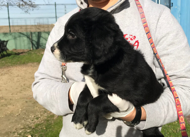 multimedia-foto54051-129-1