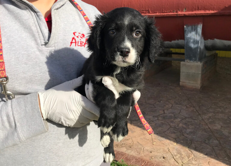 multimedia-foto54052-129-1