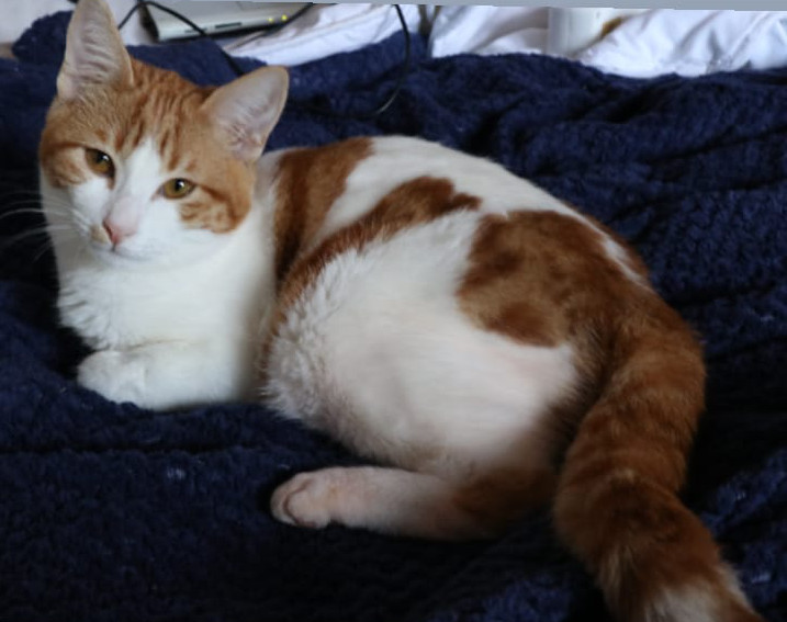 multimedia-foto54064-651-1