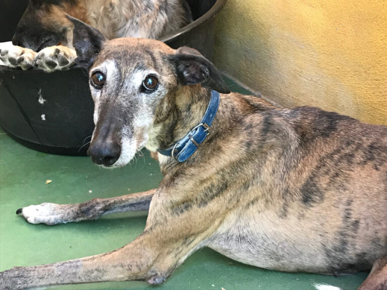 multimedia-foto54071-27-1