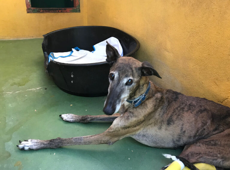 multimedia-foto54072-28-1