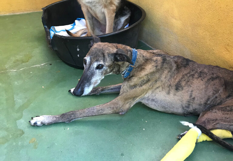 multimedia-foto54073-28-1