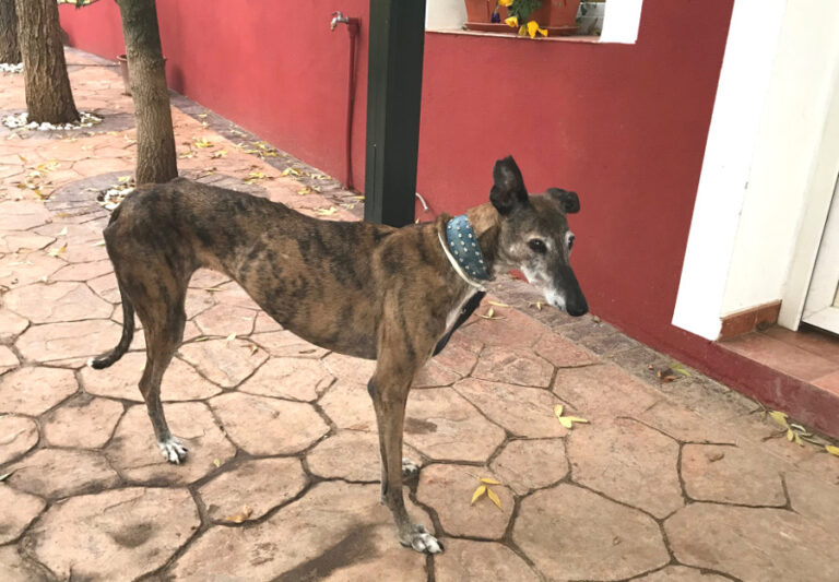 multimedia-foto54076-28-1