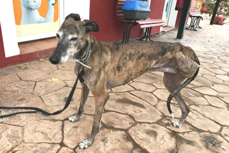 multimedia-foto54077-29-1