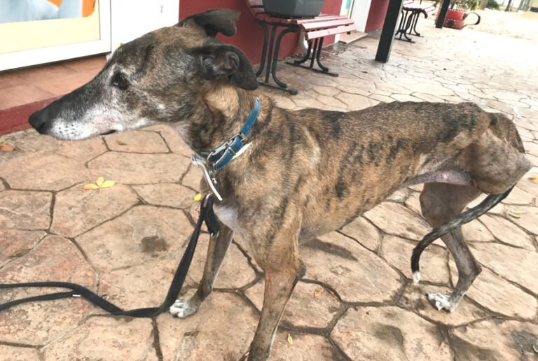 multimedia-foto54078-29-1