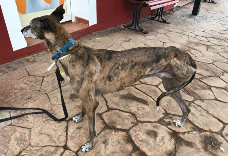 multimedia-foto54079-29-1