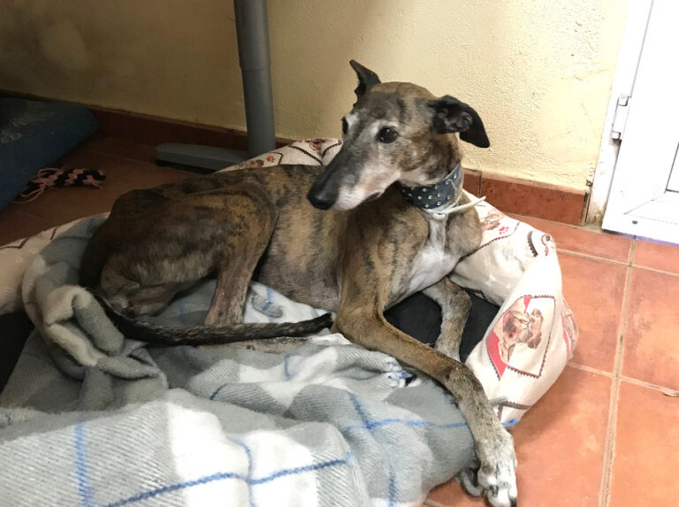 multimedia-foto54080-29-1