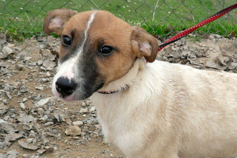 multimedia-foto54219-798-1