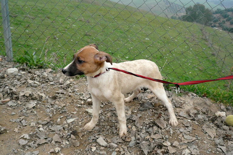 multimedia-foto54220-799-1