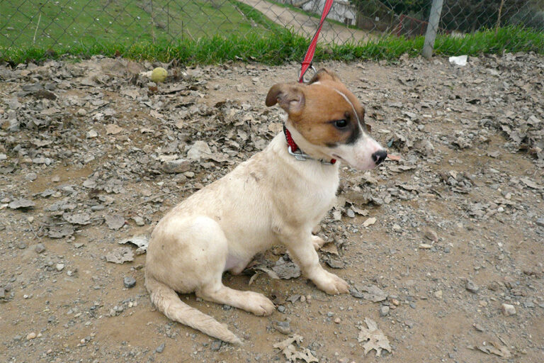 multimedia-foto54221-799-1