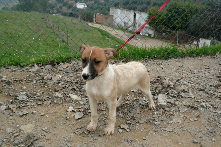 multimedia-foto54222-799-1