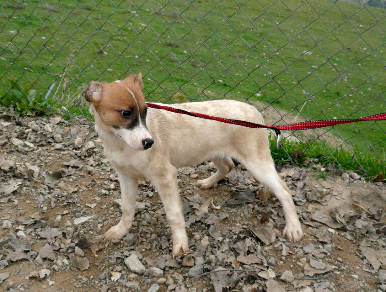 multimedia-foto54223-823-1