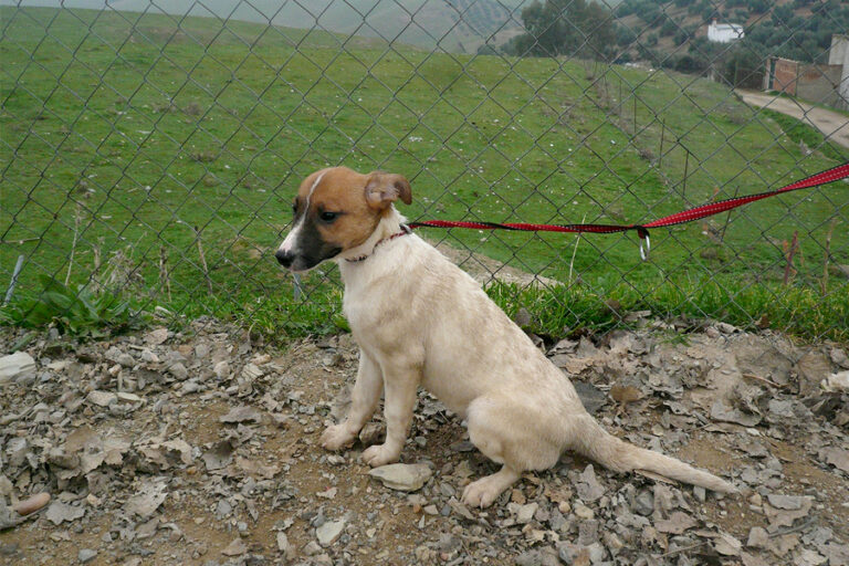 multimedia-foto54225-824-1