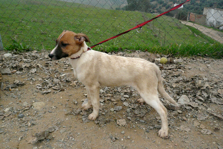 multimedia-foto54226-824-1