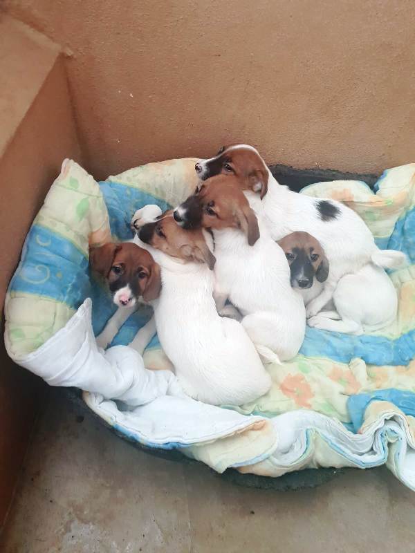 multimedia-foto54227-824-1