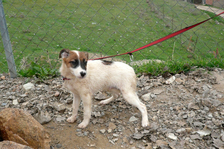 multimedia-foto54229-961-1