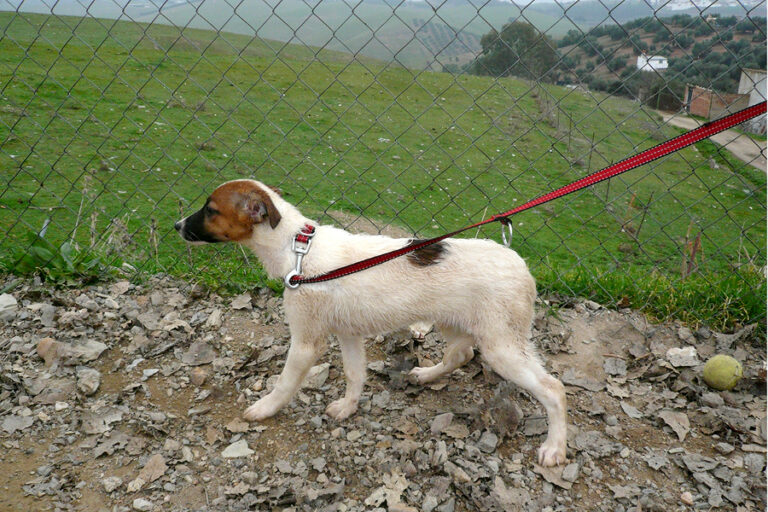 multimedia-foto54230-961-1