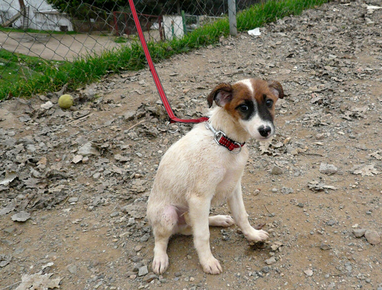 multimedia-foto54231-962-1