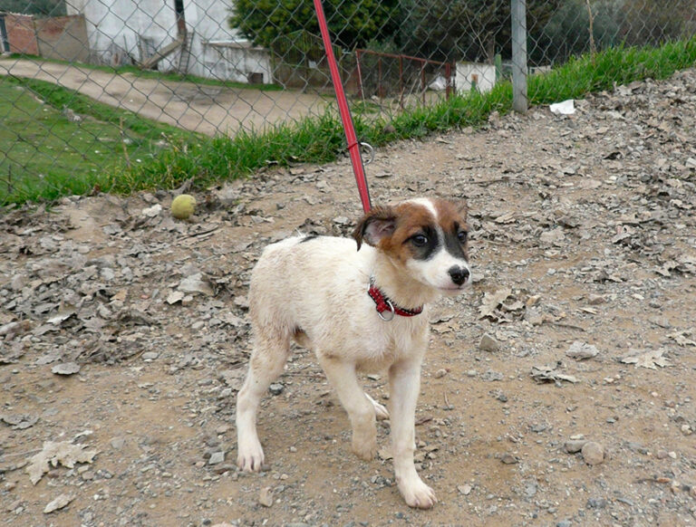 multimedia-foto54232-962-1