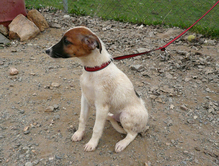 multimedia-foto54233-962-1