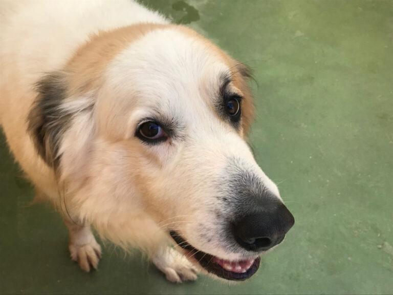 multimedia-foto54249-232-1