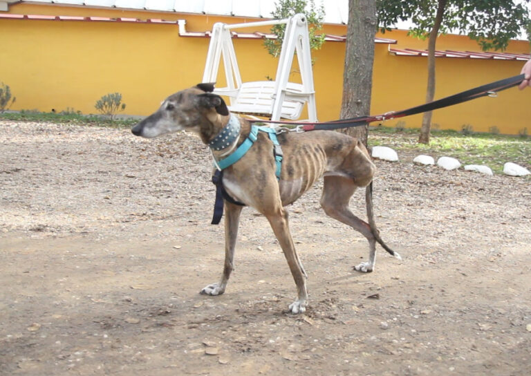 multimedia-foto54305-260-1