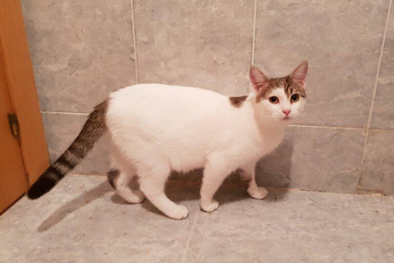 multimedia-foto54349-174-1