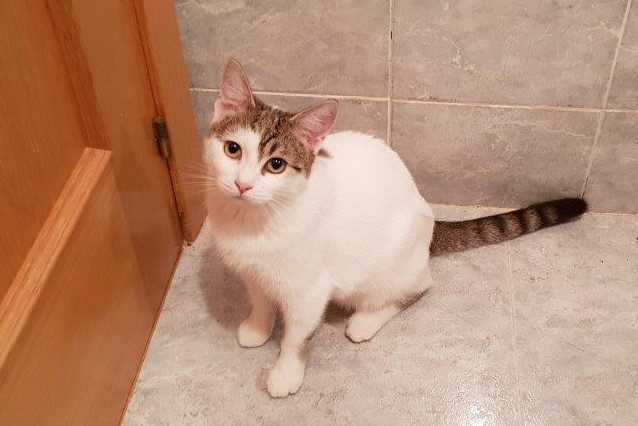 multimedia-foto54351-175-1