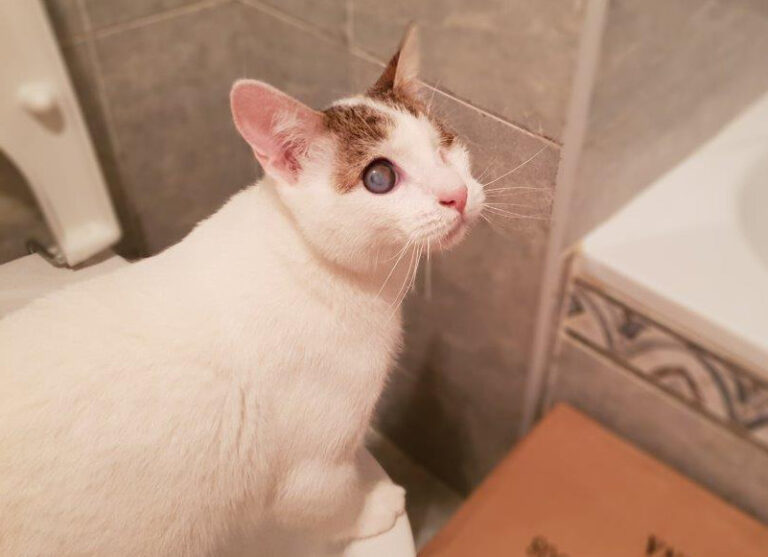 multimedia-foto54354-210-1