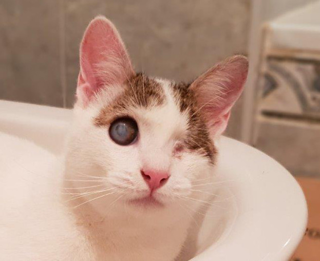 multimedia-foto54355-210-1