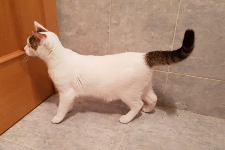 multimedia-foto54356-210-1