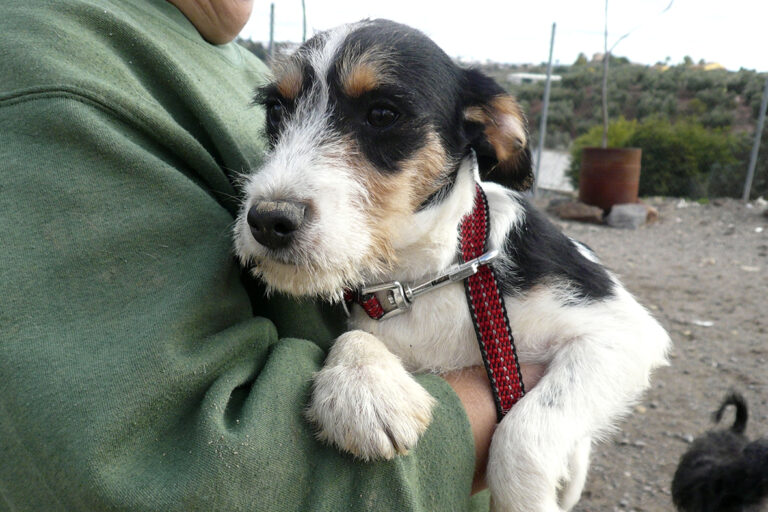 multimedia-foto54436-291-1