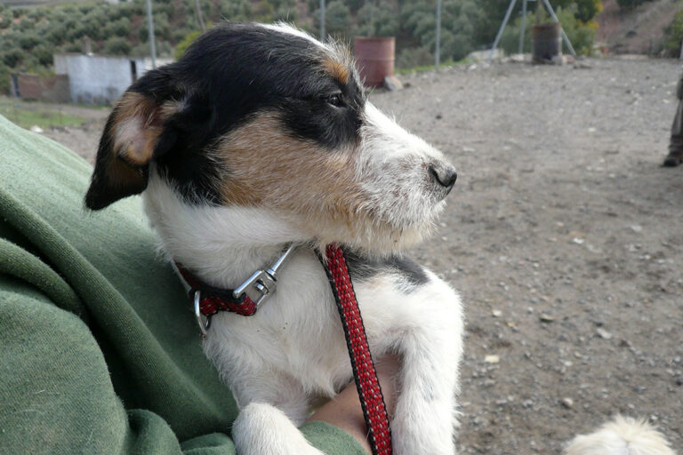 multimedia-foto54437-291-1