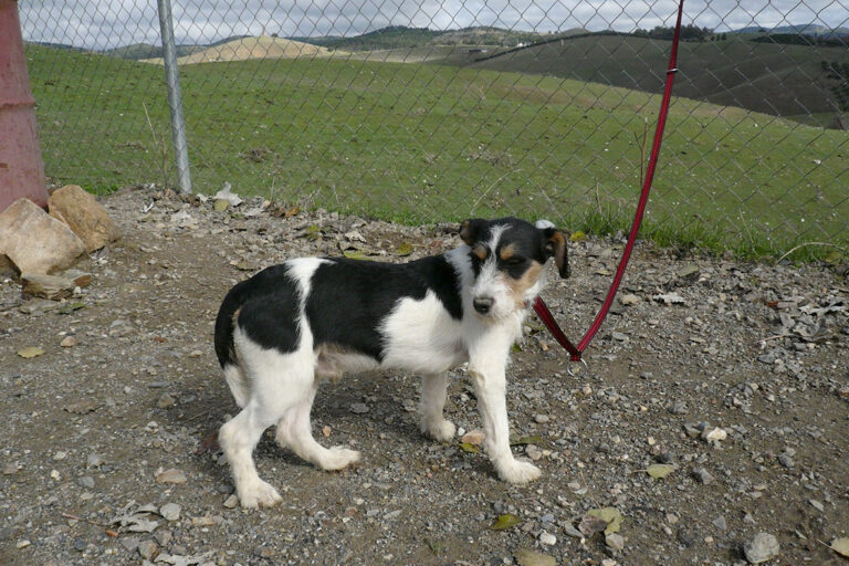 multimedia-foto54438-291-1