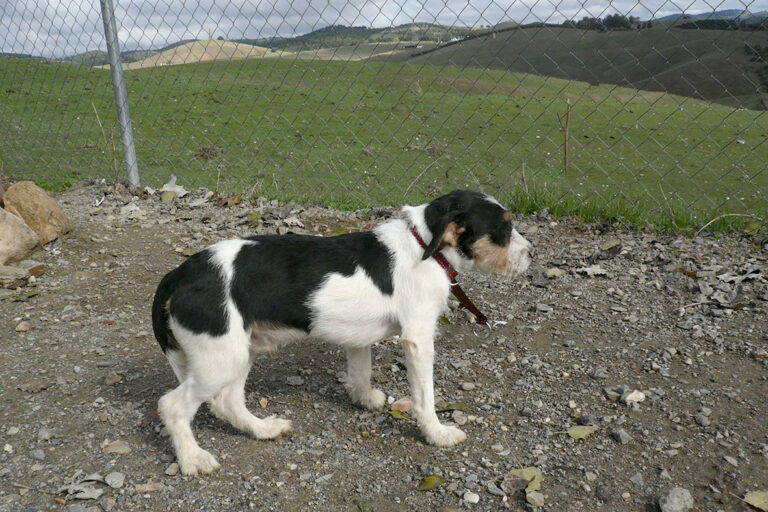 multimedia-foto54439-291-1