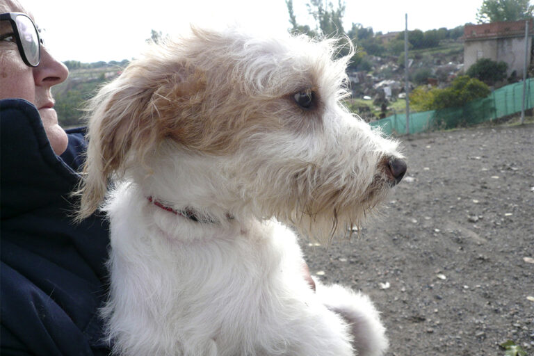 multimedia-foto54450-425-1