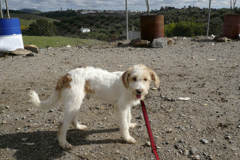 multimedia-foto54451-425-1