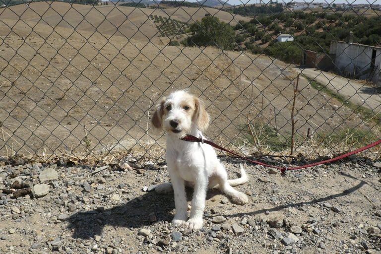 multimedia-foto54452-426-1