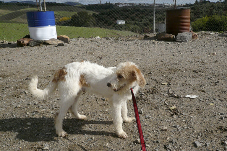 multimedia-foto54453-426-1