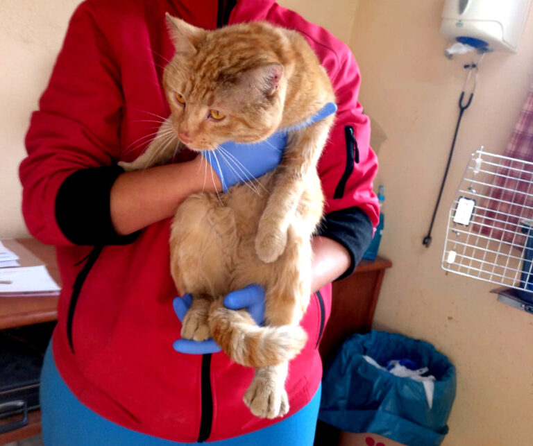 multimedia-foto54499-473-1