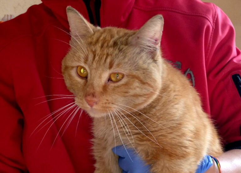 multimedia-foto54501-473-1