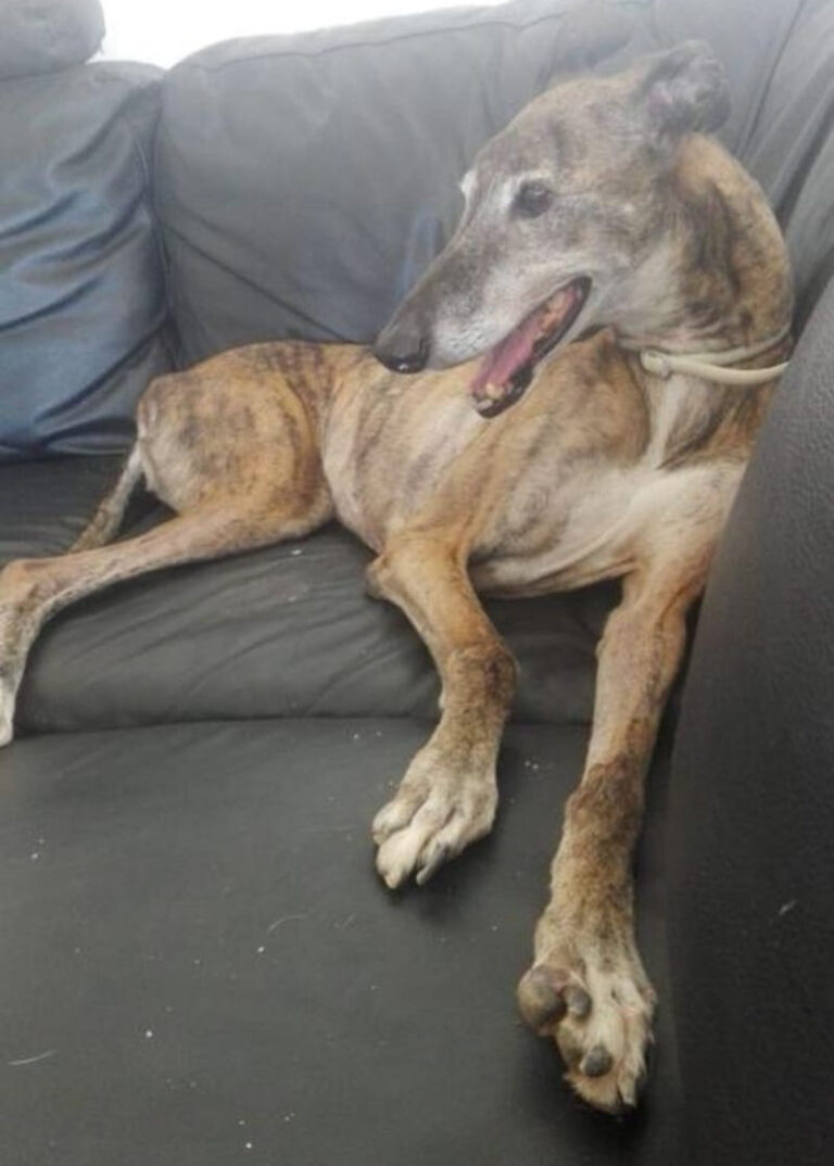 multimedia-foto54556-212-1